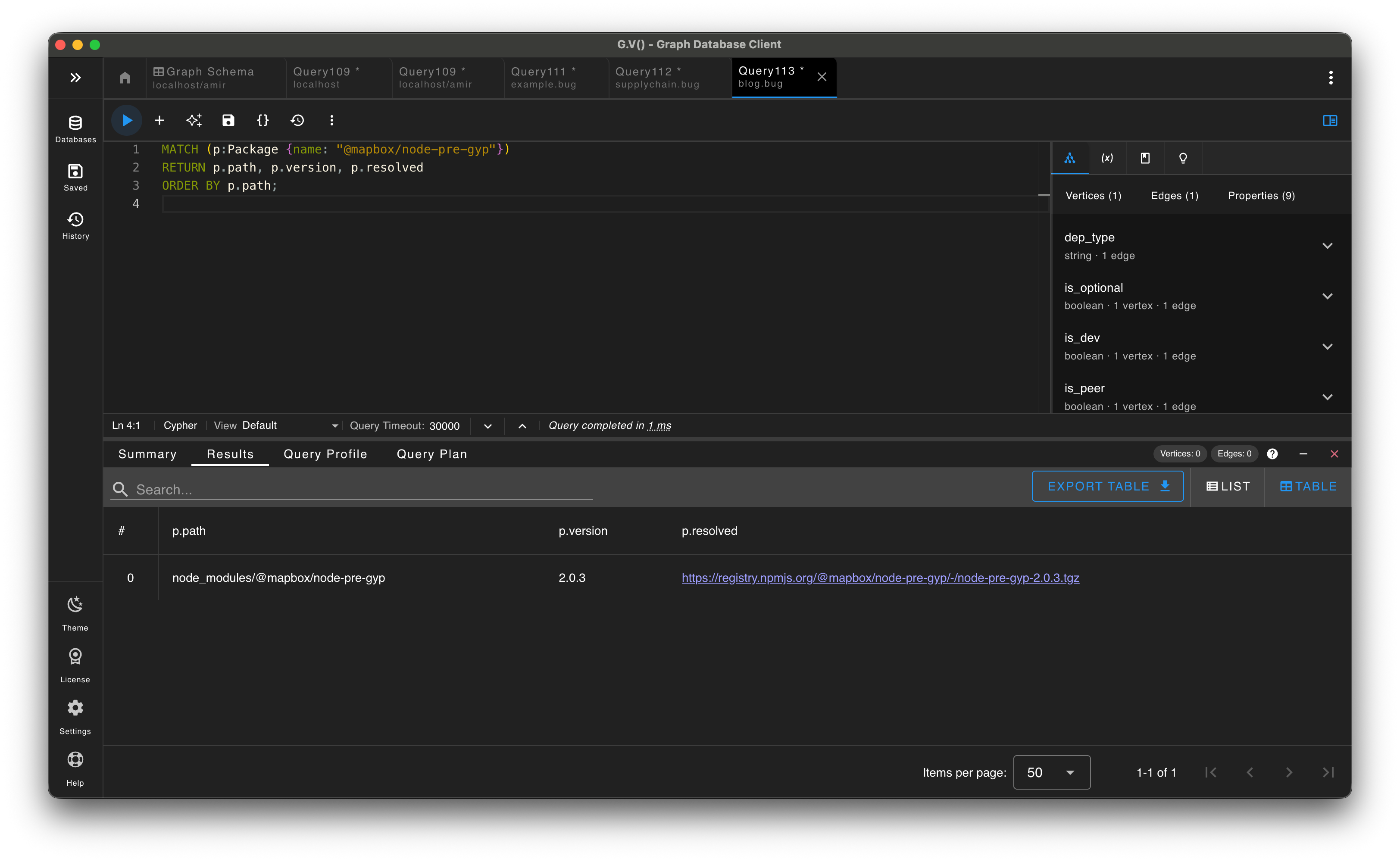Query results for a specific package showing path, version, and resolved fields.